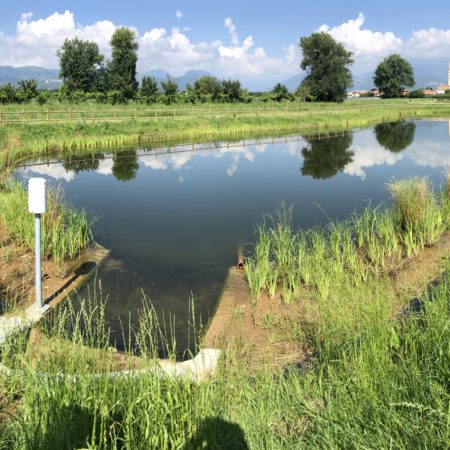 Foto copertina Giavenale